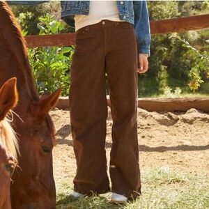 American Eagle Long Low Rise Brown Corduroy Skater Jean New With Tags